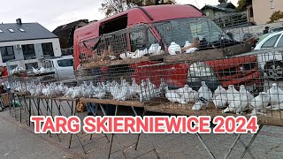 TARG Z GOŁĘBIAMI SKIERNIEWICE 102024 [upl. by Aihsetal]