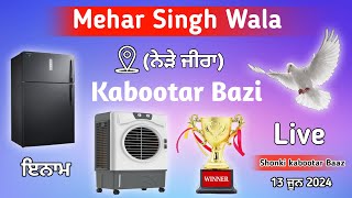 🔴Live🔴Kabootar Bazi Mukabla Pind Mehar Singh Wala Near Zira live kabootar bazi 2024 [upl. by Nosned]