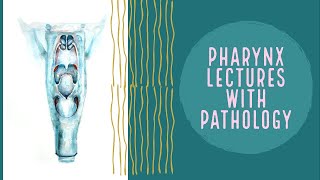 PHARYNX lecture 4 HYPOPHARYNX in deatil and PYRIFORM fossa complete explanation [upl. by Dona]