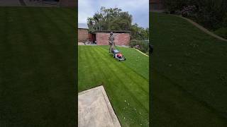 Quick Yard Cleanup 93 YardCleanUp GardeningTips cleanspace TrimmingTips quickcleaning garden [upl. by Alberik]