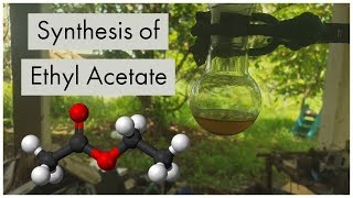 Synthesis Of Ethyl Acetate smallscale synthesis [upl. by Ahsiema]