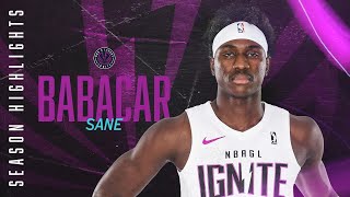 Babacar Sanes Best Plays Of The 202324 Season [upl. by Ronyam]