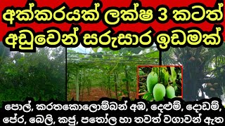 අක්කරයක් ලක්ෂ 3 කටත් අඩුවෙන්  Pol idam  Cashew land  Agriculture land Aduwata idam  Land sale [upl. by Ecille951]