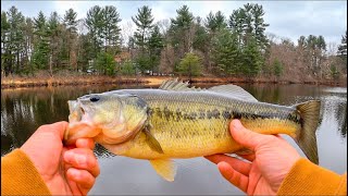 Fishing small pond for winter largemouth Testing DC curado bait casting reel [upl. by Barbara-Anne]