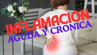 INFLAMACION AGUDA Y CRONICA APRENDE SOBRE ELLAS [upl. by Reinaldos591]