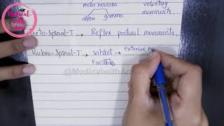 FUNCTIONS OF DESCENDING TRACTS OF SPINAL CORD IN EASY WAY  NEUROANATOMY [upl. by Calabresi]