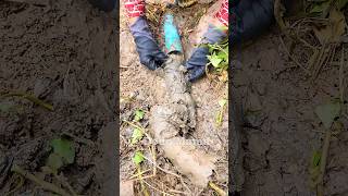 Unclogging Blocked Drain Pipes blockedpipe shorts video viralvideo shortvideo [upl. by Thgiwed]