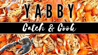 Yabby Catch N Cook  How to Catch Cook and Pickle Yabbies [upl. by Gill]