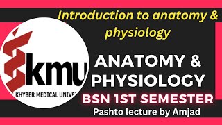 Introduction to Anatomy amp Physiology  BSN 1st semester  A amp P Unit 1st Pashto lecture by Amjad [upl. by Namzzaj]