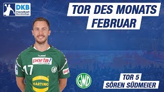 Tor 5 des Monats Februar 2018  Sören Südmeier [upl. by Yelloh529]