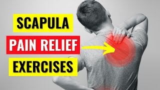 Scapula amp Rhomboid Pain Relief Exercises in 5 min [upl. by Tchao]