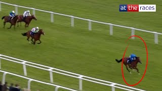 IMPRESSIVE Hidden Law bolts up at Newbury [upl. by Ehcor41]