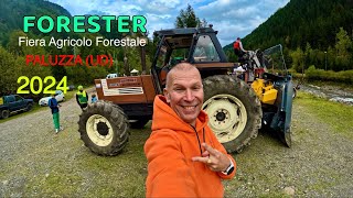 FORESTER FIERA AGRICOLO FORESTALE E GARA BOSCAIOLI a PALUZZA UD [upl. by O'Malley298]