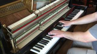 Piano droit CBECHSTEIN Millenium 116 K 1 EML PIANOS [upl. by Nesnah]