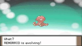 Pokemon Platinum Remoraid Evolves To Octillery HD [upl. by Olyhs]