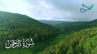 SURAH REHMAN  Omar Hisham Al Arabi  Healing and Relaxing [upl. by Viv]