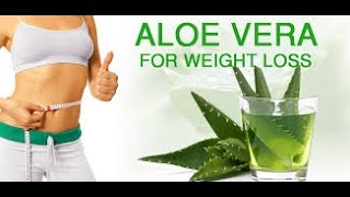 Aloe Vera For Weight Lose Fat Cutter Drink  Weight Loss 10 kgs Simple and Easy Tip [upl. by Zeus]