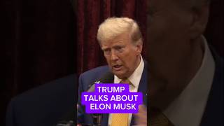 Why Elon Musk is Truly Out of This WORLD donaldtrump elonmusk joerogan kamalaharris spacex [upl. by Ilenna371]