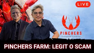 PINCHERS FARM REVIEW LEGIT O SCAM ⛔ WILL JACINTO AT KYLE BELO CHAN NG SEAFOOD TRADE MAGKAKILALA [upl. by Amre]