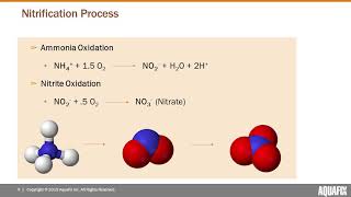 Unlock Nitrification amp Remove Ammonia [upl. by Myriam]