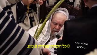 Belz Rebbe Leading The Davening  Hoshana Rabbah 5785 [upl. by Loggia822]