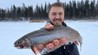 Barbe lake brook trout fishing amp winter camping w staggontheline [upl. by Duncan]