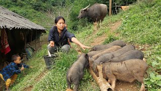 Breastfeeding and How to Raise Pigs  Life in Vietnam [upl. by Eiramanig]