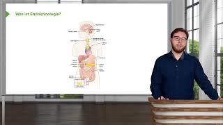 Physiologie I Hormonphysiologie Endokrinologie Einführung I Igor Besel [upl. by Siravat791]