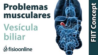 Vesícula biliar  Problemas articulares y musculares que puede provocar [upl. by Yelloh785]