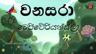 wanasara වනසරා vegitarion වෙන්න ගියා [upl. by Fraya]