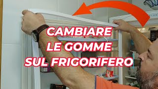 COME CAMBIARE LA GOMMA DELLA GUARNIZIONE DI UN FRIGORIFERO BALAY tutorial frigorifero ❄️ [upl. by Manville]