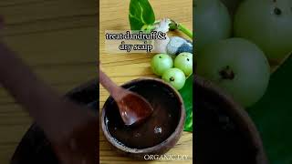 Amla Oil for Hair growthHome made amla oilamlaindian gooseberryamla oilamla hair growth oil [upl. by Enyal]