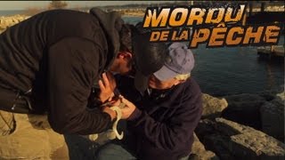 Un gros hameçon dans la main  Mordu de la Pêche avec Cyril Chauquet [upl. by Oilenroc302]