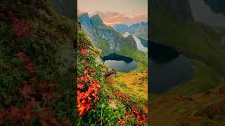 Lovely Lofoten Islands NORWAY travelsecrets travel ytshorts [upl. by Thorpe]