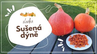 Video recept SUŠENÁ DÝNĚ [upl. by Romaine342]