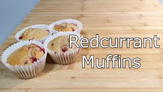 How to make Redcurrant Muffins [upl. by Lotsirhc689]