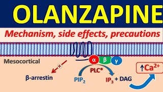 Olanzapine 5 mg and 10 mg  Uses dose and side effects [upl. by Hallam]