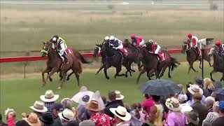 Braidwood 10 02 2024 Race 2 [upl. by Zoltai]