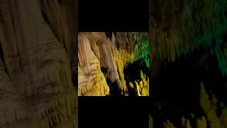 Stalagmites amp Stalactites at Florida Caverns State Park cave shorts [upl. by Jesh]