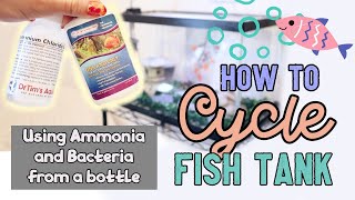 CYCLING Fish Tank EASY using Ammonia amp Bacteria from Dr Tims Aquatics [upl. by Palla]