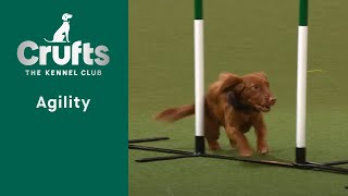 Agility – Championship – SM  Final   ​Crufts 2023 [upl. by Michaele]