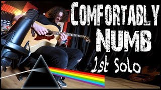 Comfortably Numb Solo by Pink Floyd  ACOUSTIC COVER amp LESSON [upl. by Grunenwald]