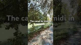 The canal du midi in autumn france canal occitanie [upl. by Shapiro254]