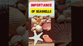 Importance of Seashells shorts [upl. by Mello]