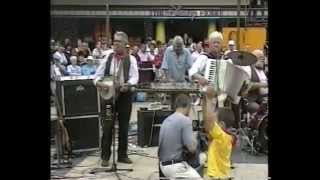 The Wurzels  Live in Broadmead  Bristol  30701  The Combine Harvester remix release gig [upl. by Aieken571]