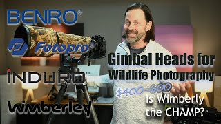 Gimbal Review for Wildlife 400600 Is Anything Better Than Wimberly [upl. by Ginzburg]