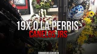 19x O La Perris  Canelos Jrs Estudio Corridos 2023 [upl. by Brigitta209]