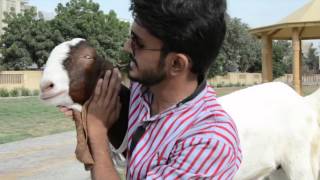 THE REAL QURBANI  Part 01 Sajid Ali [upl. by Iztim]