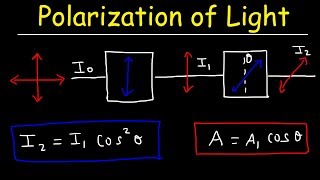 Polarization of light Problems Malus Law  Intensity amp Amplitude  Physics [upl. by Eiddet]