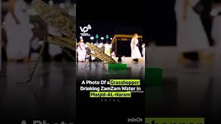 informatical videos islam motivation roshanislam313 Islam allah [upl. by Elodea]